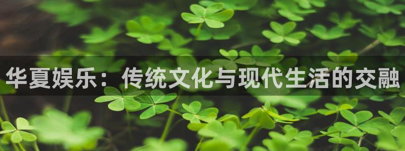 彩神vii官方