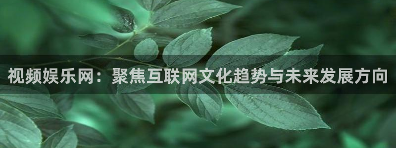 彩神vii官方