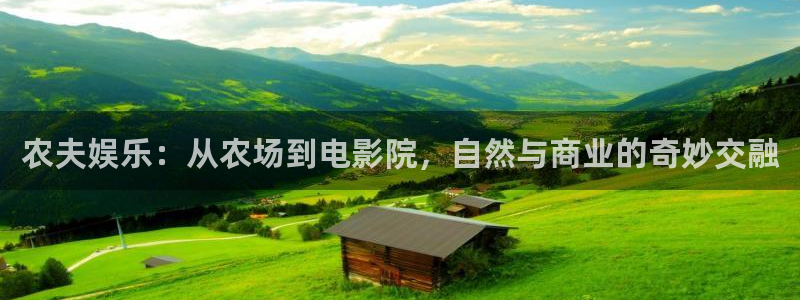 彩神vii官方